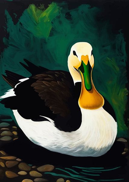 Common Eider Duck by MIROKKU