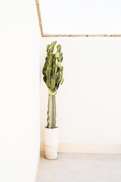 Een Bohemian Zomer in Marrakech van Henrike Schenk