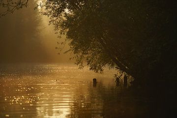 Brouillard sur l'eau Biesbosch sur Kuifje-fotografie