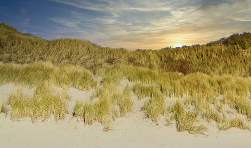 Zeeland.