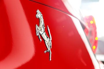 Ferrari horse van Glenn Nieuwenhuis