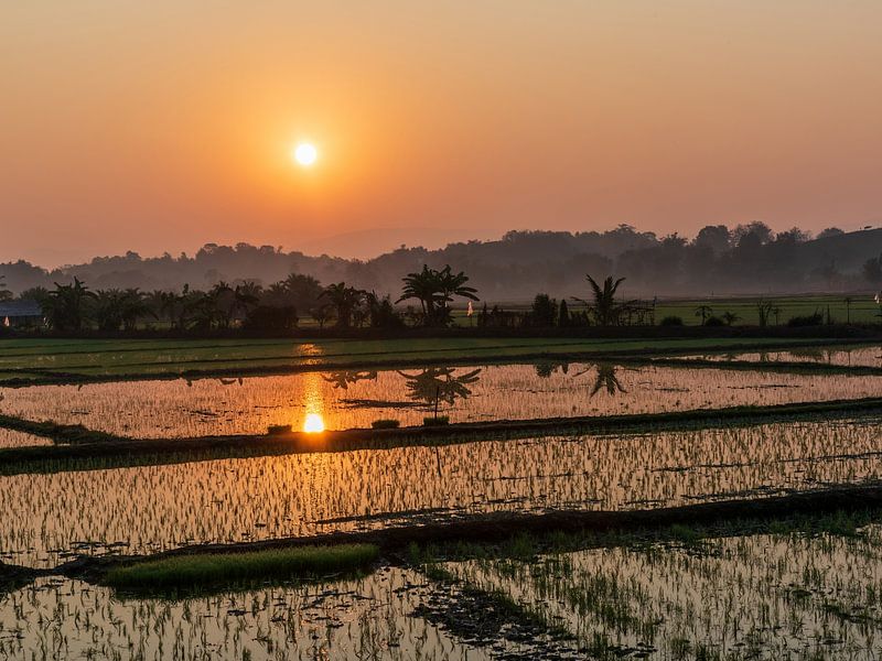 zonsopgang op het rijstveld van Alex Neumayer