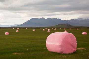 Roze hooibalen in IJsland van Summer van Beek