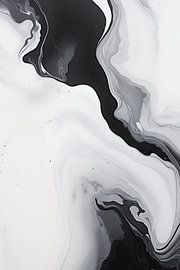 Weiss und Schwarz von NJ Midnight Studio