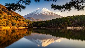Le Mont Fuji au Japon