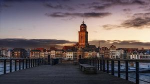 VIOLETTES GESICHT DES DEVENTERS MIT GERÜST