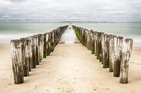 Strandpalen in Zeeland