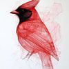 Cardinal rouge dans les lignes abstraites sur Eva Lee