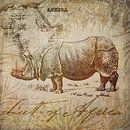 Vintage Rhino by Andrea Haase thumbnail