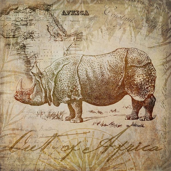 Vintage Rhino by Andrea Haase