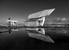 Port building Antwerp by Marieke Deinum
