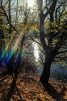 Farbe
