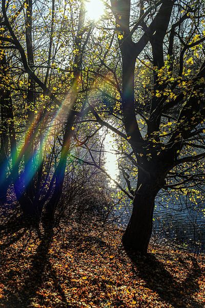 couleur par richard admiraal
