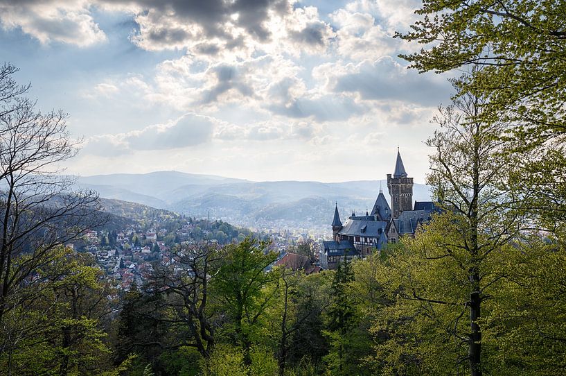 Schloss Wernigerode im Frühling von Oliver Henze