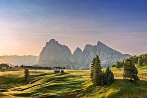 Seiser Alm in den Dolomiten