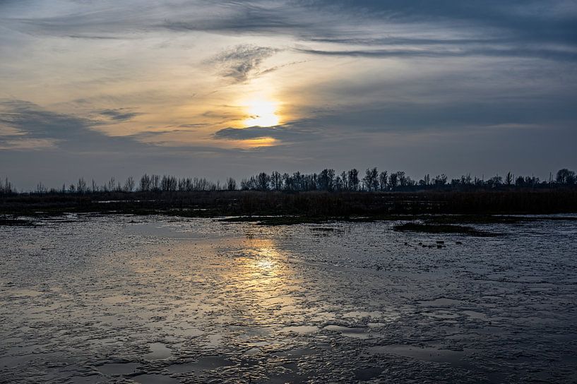 Evening Sun by Lieselotte Stienstra