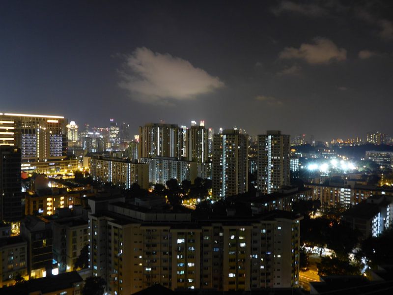 Night in Singapore by Daniël Majoor