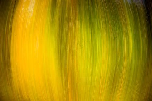 Herfstkleuren (ICM, abstract)
