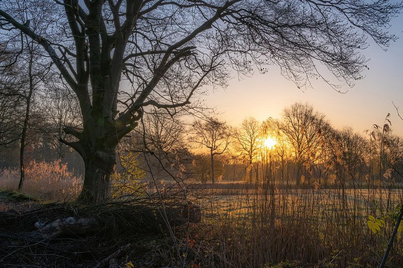 morning in Ruurlo by Tania Perneel