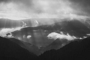 Schwarz-weiße Landschaft mit Sonnenstrahlen in Frankreich von Holly Klein Oonk