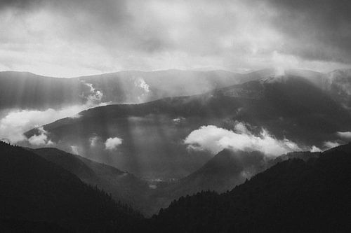 Zwartwit landschap met zonnestralen in Frankrijk van Holly Klein Oonk