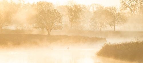 golden waterfront sunrise