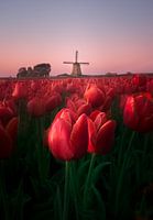 Typisch Nederlands uitzicht.