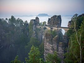 Basteibrücke und Lilienstein im Nebel - Sächsische Schweiz (Elbsandsteingebirge) von t.ART