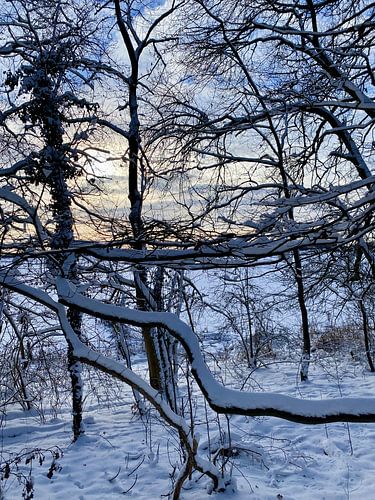 Beauty Nature Hiver 2026