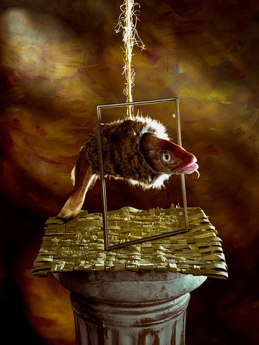 Vis met bontje - Fish with fur