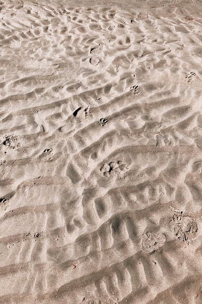 Crêtes de sable Plage de Zeeland par Krista Kitsz Art