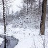 Winters boslandshap met een slootje er doorheen. van Henk Van Nunen Fotografie
