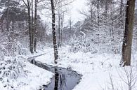 Winterlicher Waldimbiss mit durchgehendem Graben. von Henk Van Nunen Fotografie Miniaturansicht