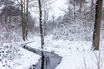 Winters boslandshap met een slootje er doorheen. van Henk Van Nunen Fotografie