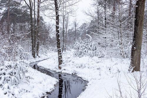Winters boslandshap met een slootje er doorheen.