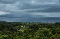 Ambon - Bay