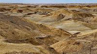 New Mexico Desert