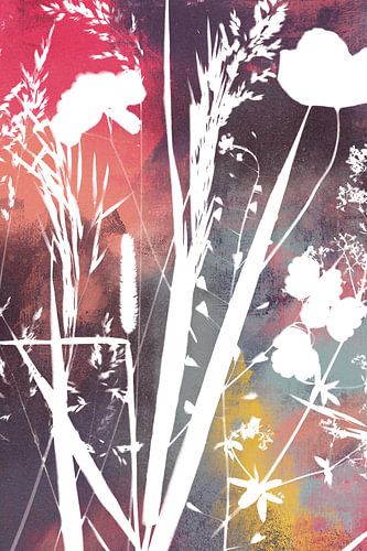 Botanical print, cyanotype, combined with a colourful abstract background