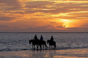 cavaliers sur la plage