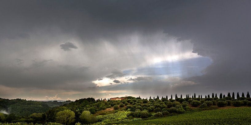 Het Toscaanse Landschap van Mark de Weger