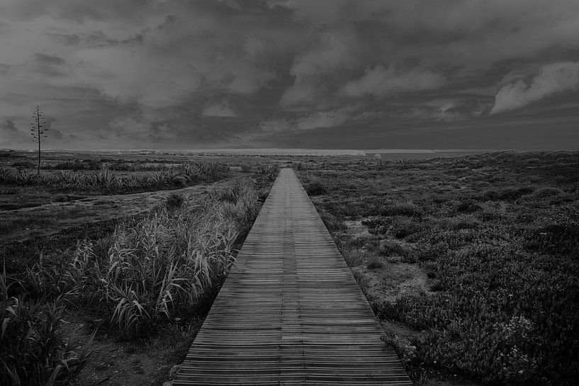 road to the end of the world by Karel Ham