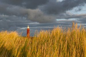 Vuurtoren Ouddorp van Jaco Verheul