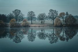 De Fluistering van de Stilte van Lichtlaub Fotografie | Toni Seyfert