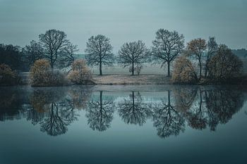 The Whisper of Silence