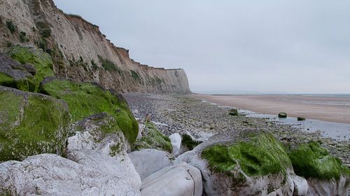Met mos begroeide rotsen op het strand aan de Opaalkust