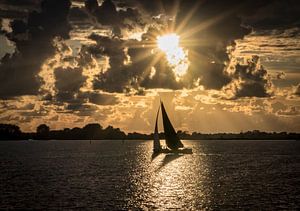 Dans le soleil du soir sur ThomasVaer Tom Coehoorn