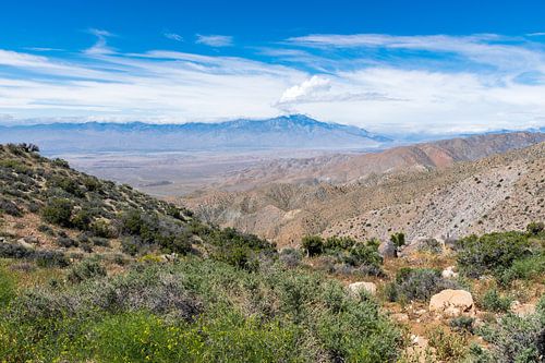Uiticht over de bergen bij Joshua Tree National Park in Amerika