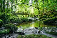 Saußbachklamm