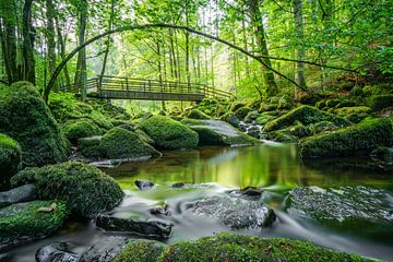 Saußbachklamm von Berthold Ambros