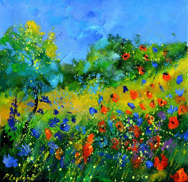 Bluets et coquelicots van pol ledent